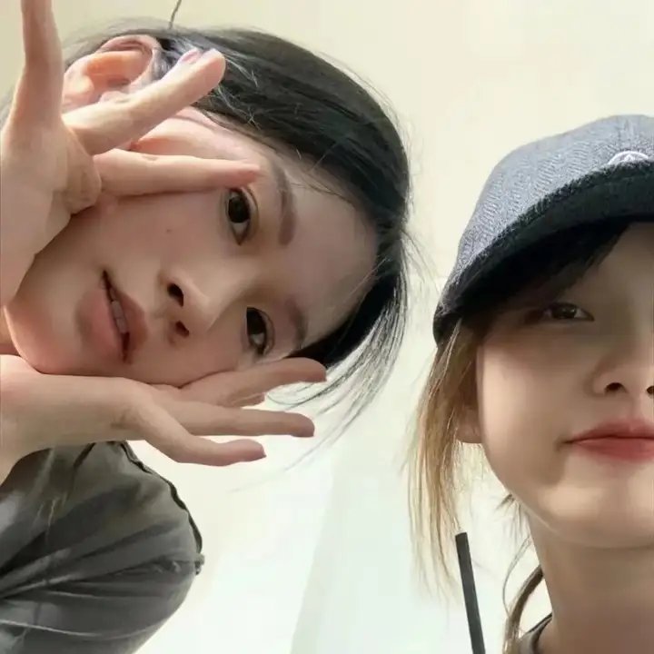 海豚的故事2